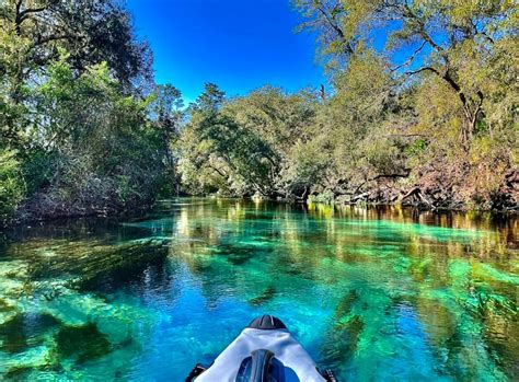 weeky|weeki springs florida.